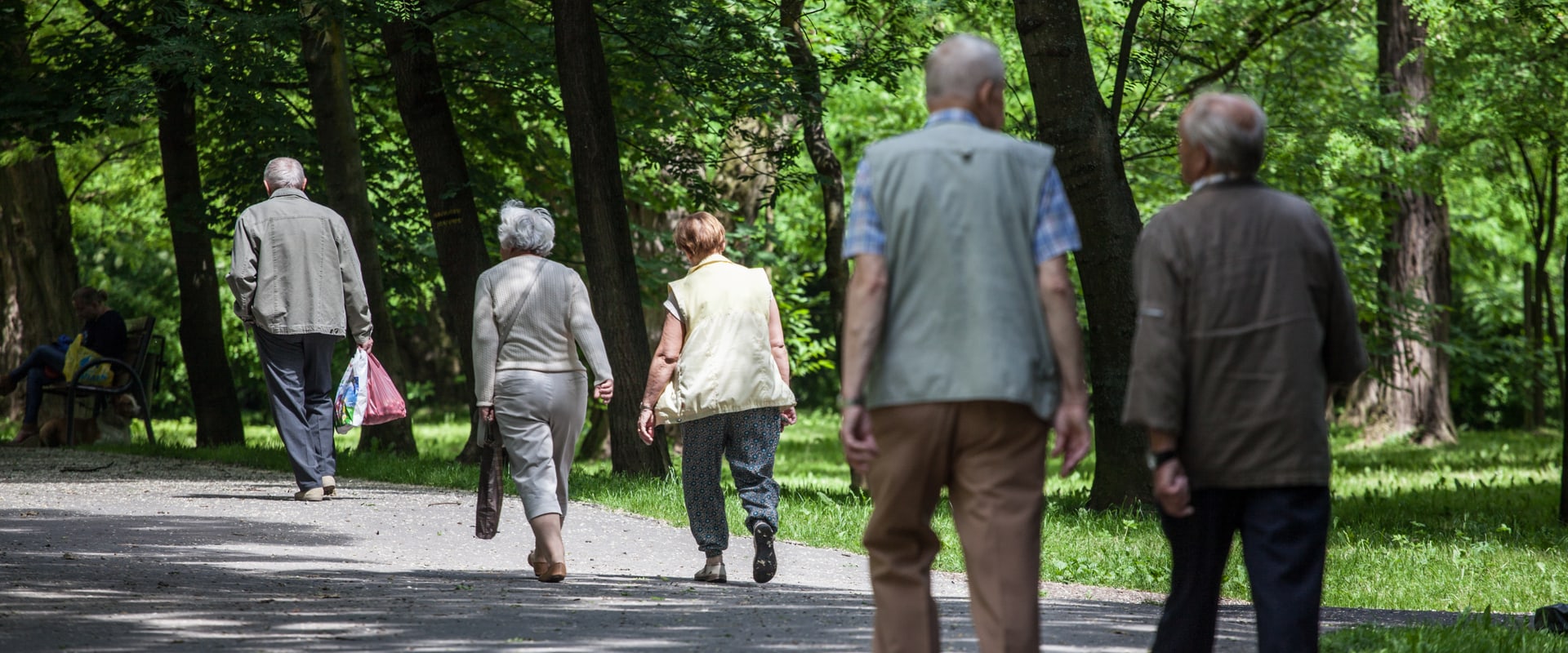 Examining the Relationship Between Hearing Loss and Physical Function in Older Adults (fotohuta/shutterstock.com)