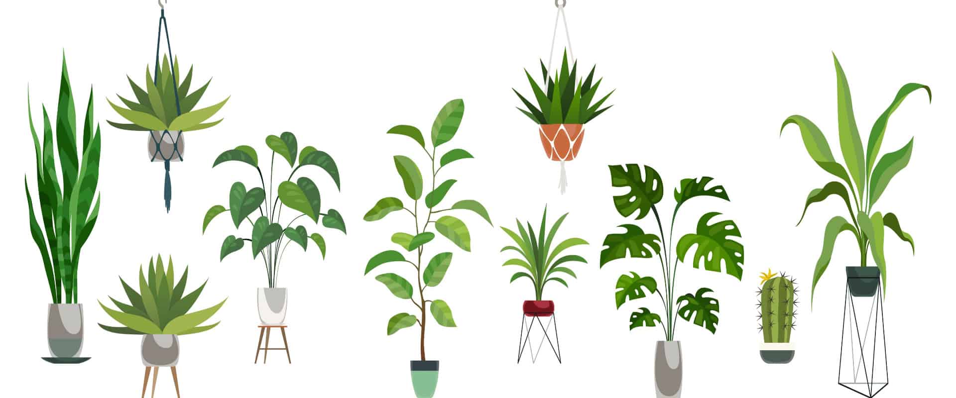 Exploring a Sonic Connection to Plants (YummyBuum/shutterstock.com)