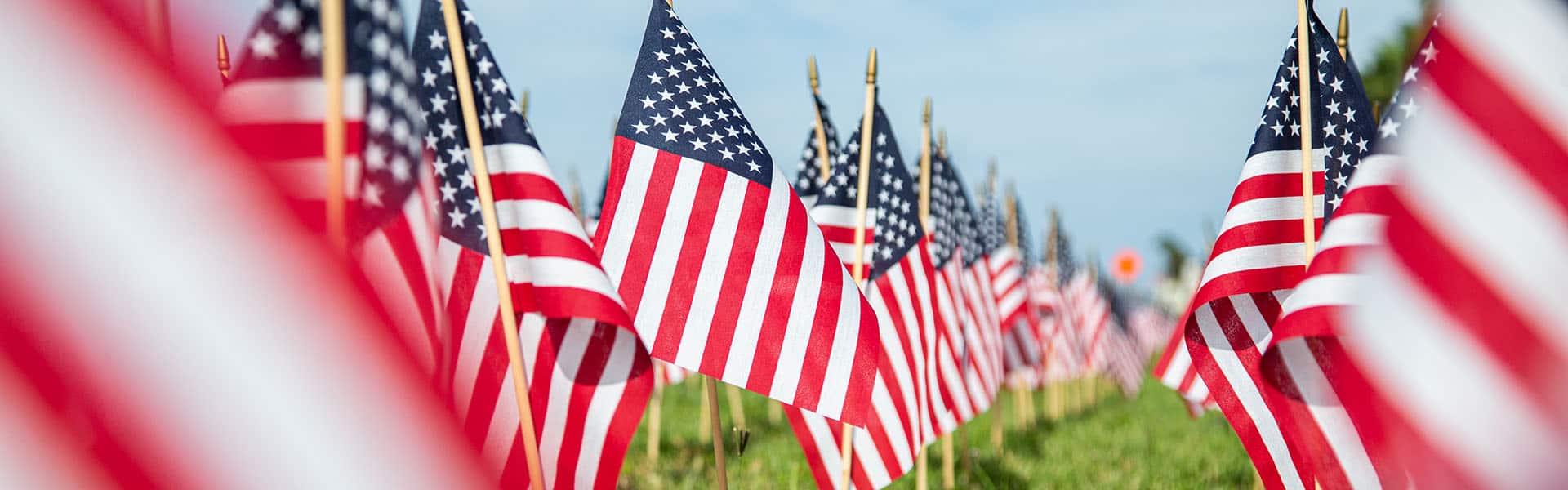 Hundreds of American flags planted on the lawn